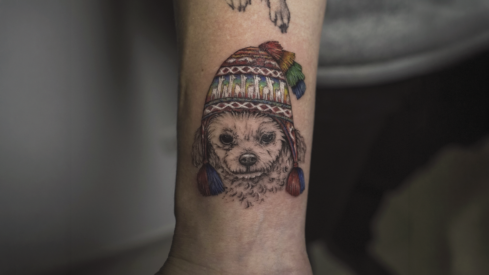 Cute dog portrait tattoo wearing a traditional Andean chullo hat, created in black and grey with colorful details at Noir Tattoo Cusco, Peru.
