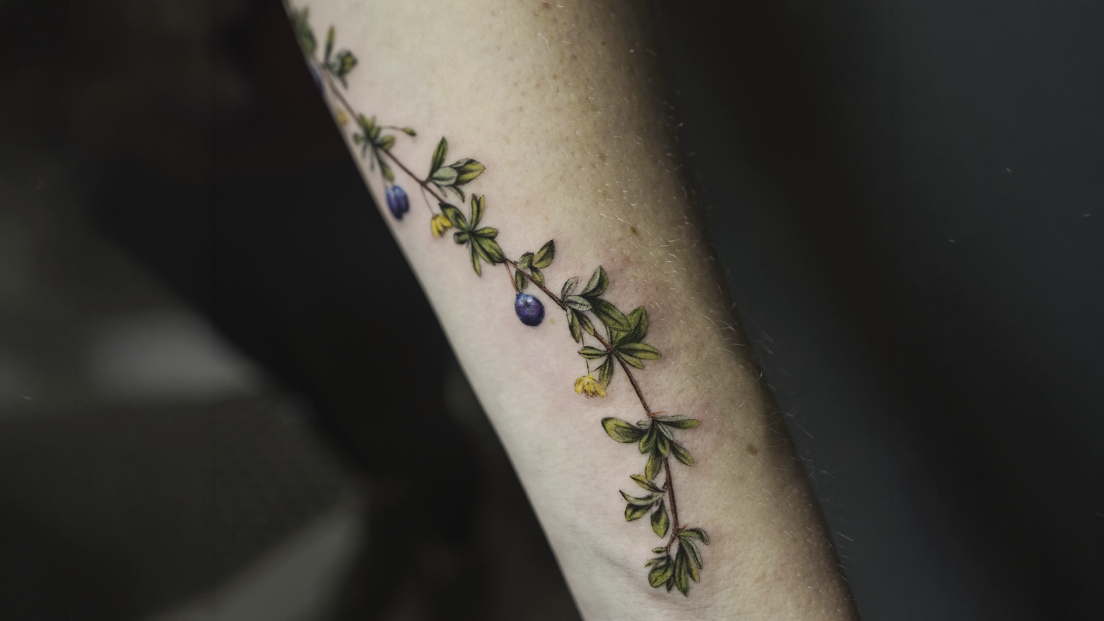 Delicate fine line blueberry branch tattoo with botanical illustration and soft natural colors, tattooed at Noir Tattoo Cusco, Peru.