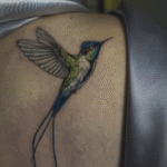 Color realism tattoo of a Marvelous Spatuletail hummingbird with long tail feathers, tattooed at Noir Tattoo Cusco, Peru.