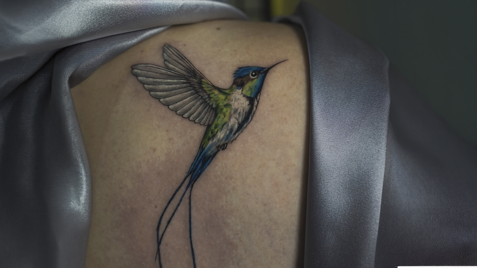 Color realism tattoo of a Marvelous Spatuletail hummingbird with long tail feathers, tattooed at Noir Tattoo Cusco, Peru.
