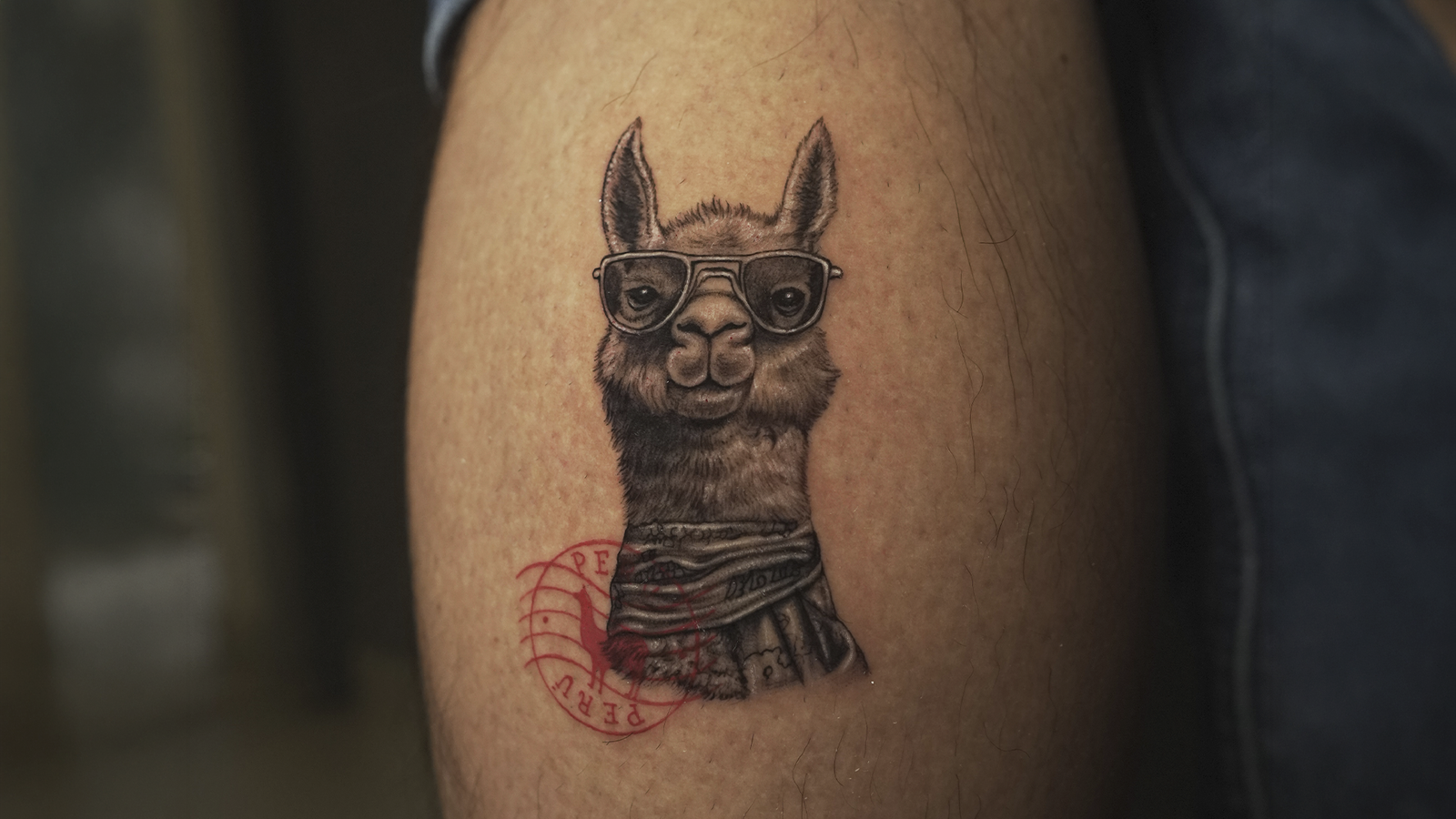 Realistic black and grey alpaca tattoo with sunglasses and travel stamp details created in Cusco, Peru.