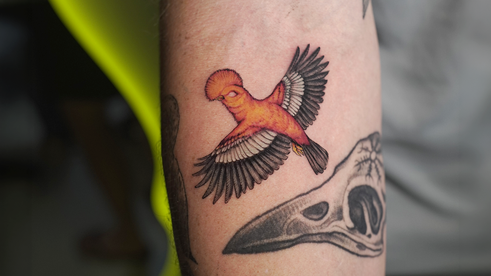 Color realism tattoo of an Andean Cock-of-the-rock, Peru's national bird, tattooed at Noir Tattoo Cusco, Peru.