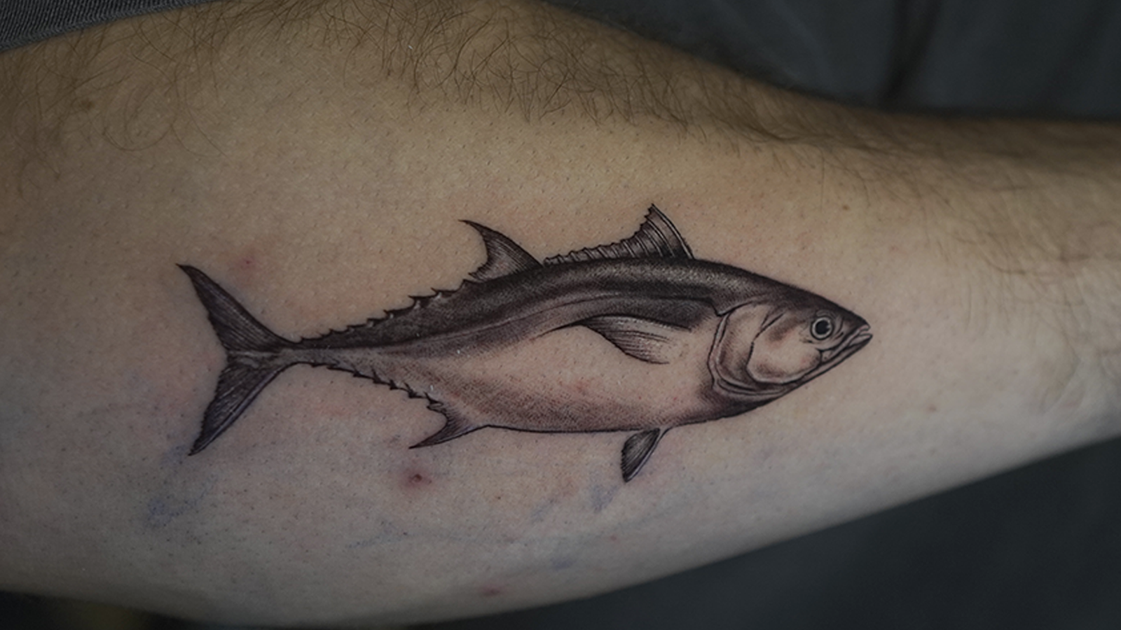 Realistic bluefin tuna tattoo in black and grey, featuring detailed marine life illustration, tattooed at Noir Tattoo Cusco, Peru.