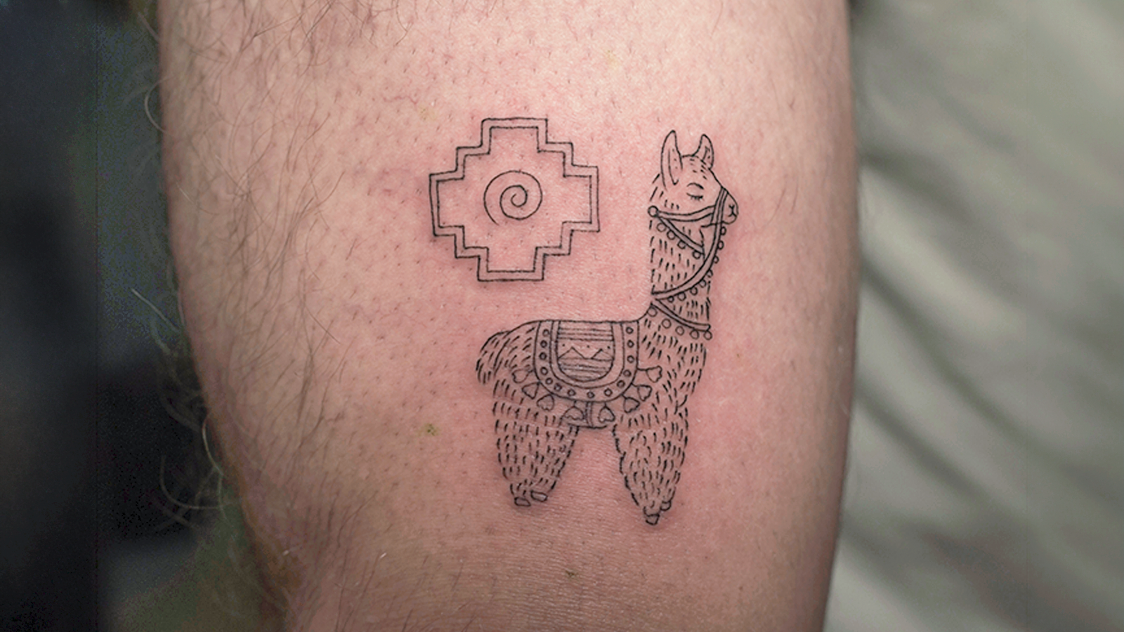 Fine line llama tattoo with Andean-inspired geometric symbol at Noir Tattoo Cusco